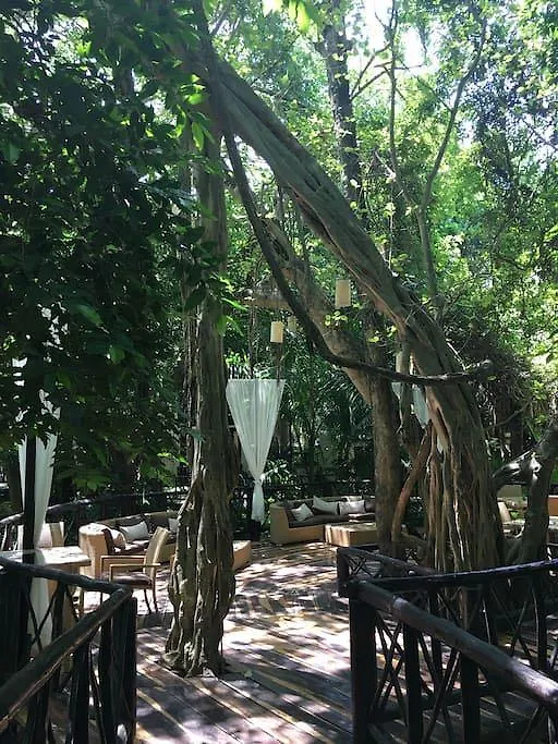 Hôtel Departamento De 2 Recamaras En Pac Pac à Playa del Carmen 0*,