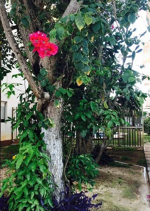 Hôtel Departamento De 2 Recamaras En Pac Pac à Playa del Carmen Appartement